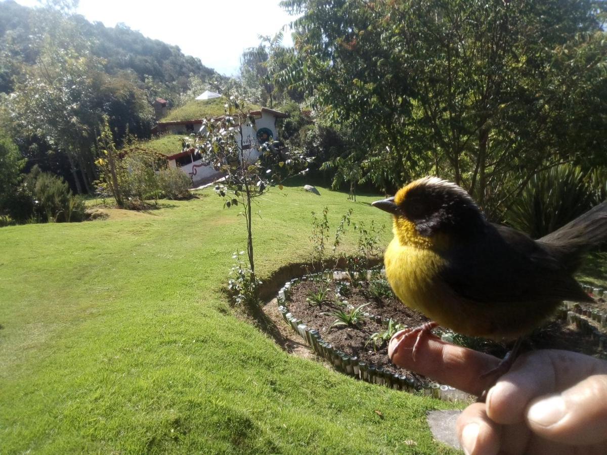 Willa Jardin Colibri Rnt 33633 Guatavita Zewnętrze zdjęcie